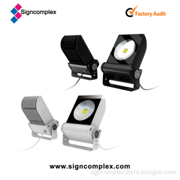 Versat (TM) 100W Flood Light